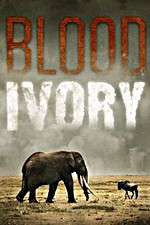 Watch Blood Ivory 123MoviesFree