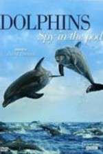 Watch Dolphins: Spy in the Pod 123MoviesFree