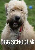 Watch Dog School 123MoviesFree
