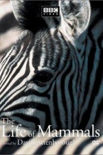 Watch The Life of Mammals 123MoviesFree