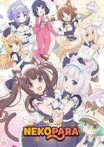 Watch Nekopara 123MoviesFree