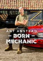 Watch Ant Anstead: Born Mechanic 123MoviesFree