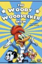 Watch The Woody Woodpecker Show 123MoviesFree