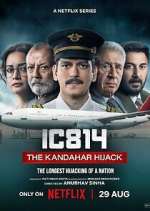 Watch IC 814: The Kandahar Hijack 123MoviesFree