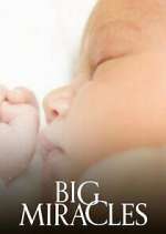 Watch Big Miracles 123MoviesFree