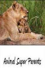 Watch Animal Super Parents 123MoviesFree