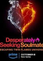 Watch Desperately Seeking Soulmate: Escaping Twin Flames Universe 123MoviesFree