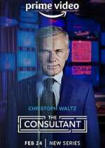 Watch The Consultant 123MoviesFree