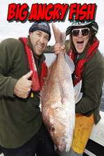 Watch Big Angry Fish 123MoviesFree
