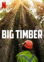 Watch Big Timber 123MoviesFree