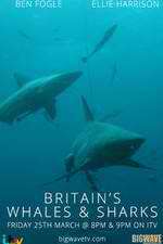 Watch Britain's Whales and Sharks 123MoviesFree