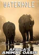 Watch Waterhole: Africa's Animal Oasis 123MoviesFree