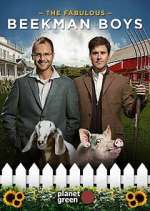Watch The Fabulous Beekman Boys 123MoviesFree