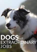 Watch Dogs with Extraordinary Jobs 123MoviesFree