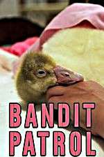 Watch Bandit Patrol 123MoviesFree