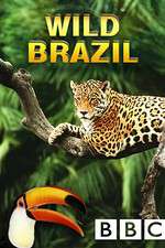 Watch Wild Brazil 123MoviesFree