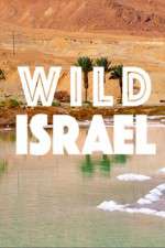 Watch Wild Israel 123MoviesFree