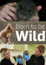 Watch Born to Be Wild 123MoviesFree