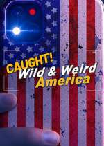 Watch Wild & Weird America 123MoviesFree