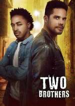 Watch Two Brothers 123MoviesFree