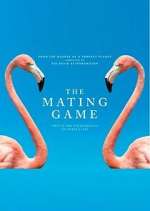 Watch The Mating Game 123MoviesFree