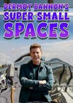 Watch Dermot Bannon's Super Small Spaces 123MoviesFree