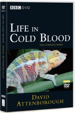 Watch Life in Cold Blood 123MoviesFree