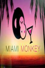 Watch Miami Monkey 123MoviesFree