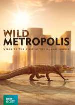 Watch Wild Metropolis 123MoviesFree