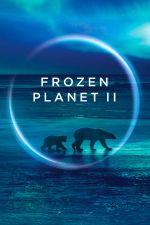 Watch Frozen Planet II 123MoviesFree