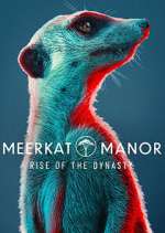 Watch Meerkat Manor: Rise of the Dynasty 123MoviesFree