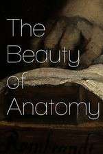 Watch The Beauty of Anatomy 123MoviesFree