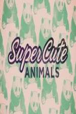 Watch Super Cute Animals 123MoviesFree