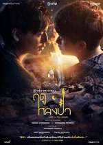 Watch Lost in the Woods 123MoviesFree