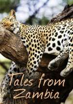 Watch Tales from Zambia 123MoviesFree
