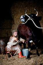 Watch Countryfile 123MoviesFree