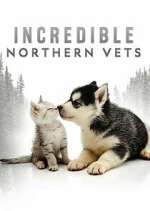 Watch Incredible Northern Vets 123MoviesFree