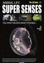 Watch Super Senses 123MoviesFree