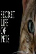 Watch The Secret Life of Pets 123MoviesFree