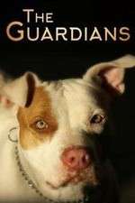 Watch The Guardians 123MoviesFree