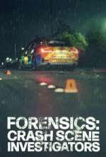 Watch Forensics: Crash Scene Investigators 123MoviesFree