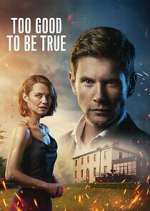 Watch Too Good to Be True 123MoviesFree