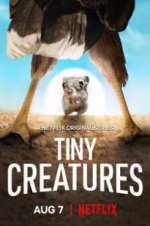 Watch Tiny Creatures 123MoviesFree