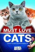 Watch Must Love Cats 123MoviesFree