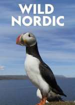 Watch Wild Nordic 123MoviesFree