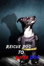 Watch Rescue Dog to Super Dog 123MoviesFree