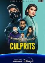 Watch Culprits 123MoviesFree