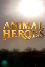 Watch Animal Heroes 123MoviesFree