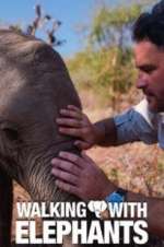 Watch Walking with Elephants 123MoviesFree
