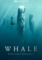 Watch Whale with Steve Backshall 123MoviesFree